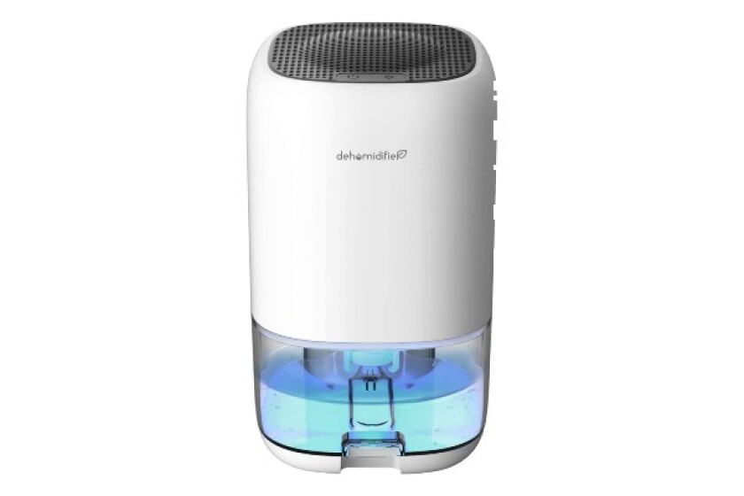 dehumidifier for basement