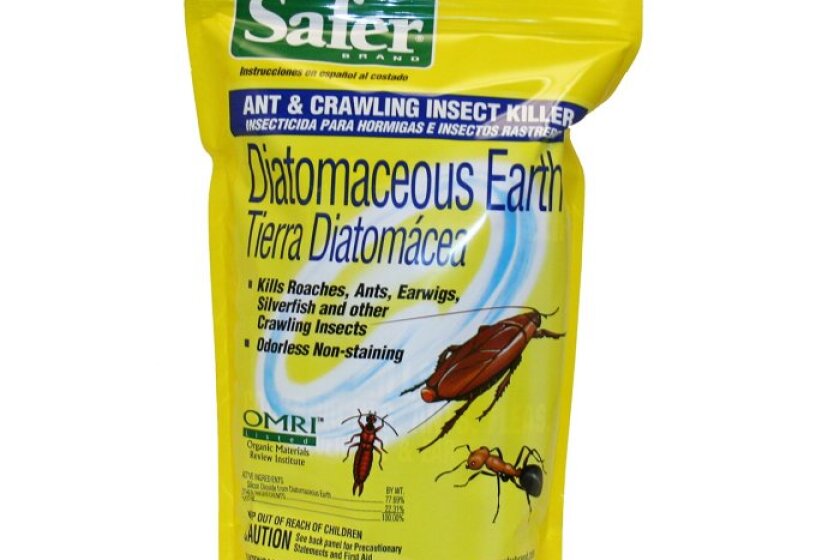 The Best Silverfish Killer In 2021 Top Reviews By Bestcovery The Best Silverfish Killer In 2021 Top Reviews By Bestcovery