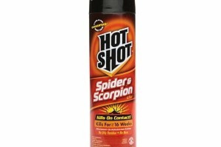 The Best Spider Killer In 2021 Top Reviews By Bestcovery