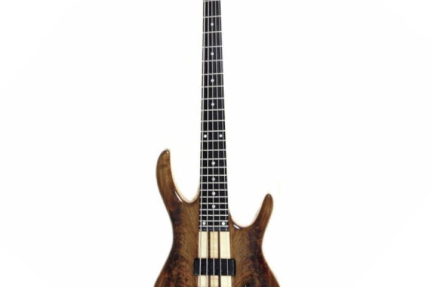 Ken Smith Black Tiger