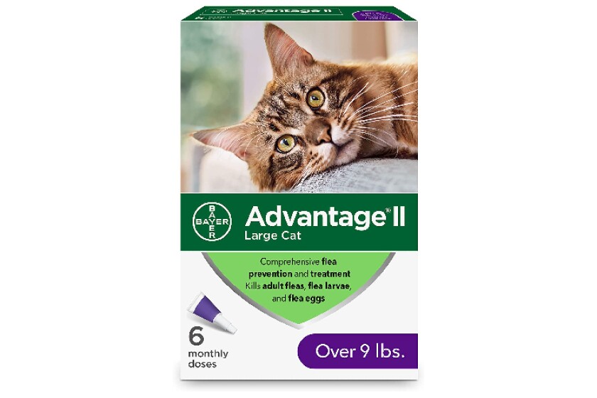 The Best Cat Flea Treatment In 2021 Review By Bestcovery The Best Cat Flea Treatment In 2021 Review By Bestcovery
