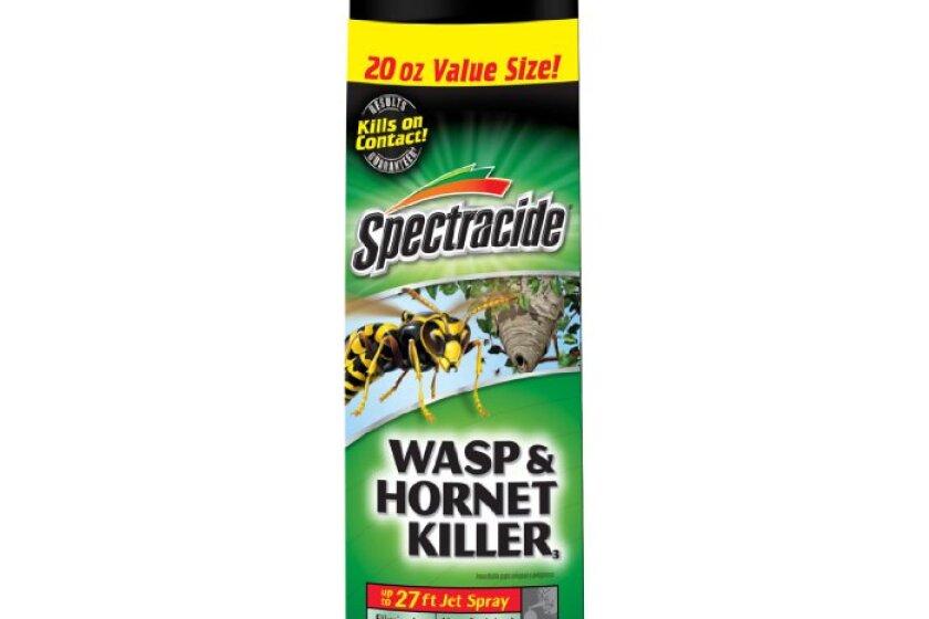 Best Wasp Spray In 2021 Top Reviews By Bestcovery Best Wasp Spray In 2021 Top Reviews By Bestcovery