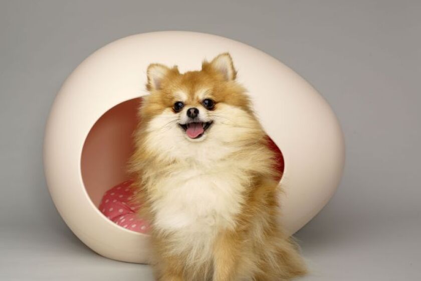 Pei Pod Dog House