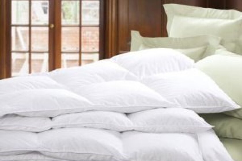 Best Comforter Bestcovery