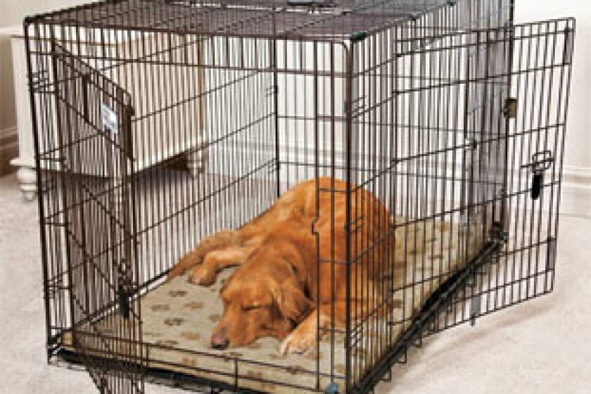 Doctors Foster and Smith Elite Classic 3 Door Dog Crate