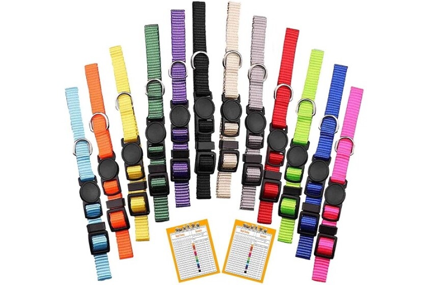 Best Puppy Accessories