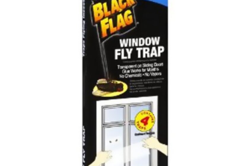 Best Fly Traps Bestcovery