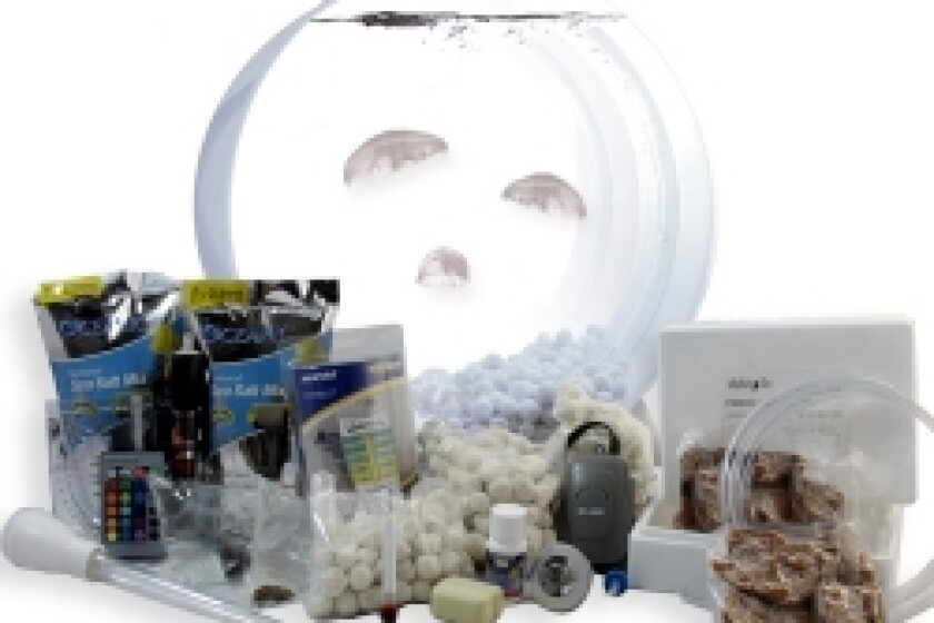 Jellyfish Art Deluxe Kit (6 Gallons)