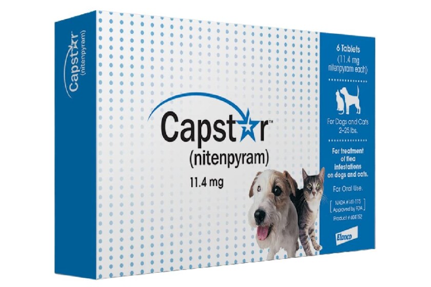 The Best Flea Treatment For Dog In 2021 Review By Bestcovery The Best Flea Treatment For Dog In 2021 Review By Bestcovery