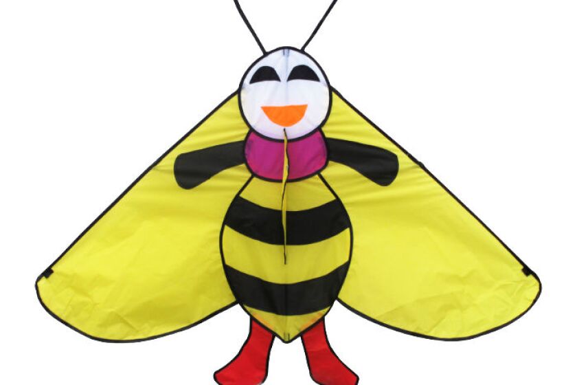 Kites N More Bee Delta Kid's Kite