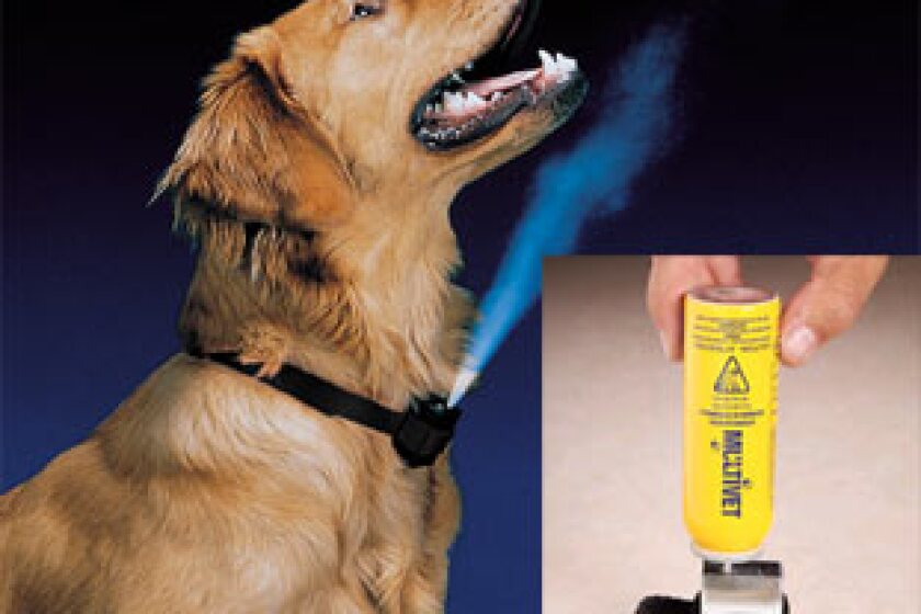 Best Bark Collar Bestcovery