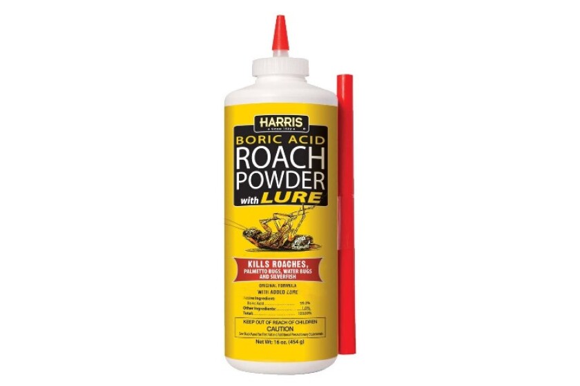 best powder cockroach killer