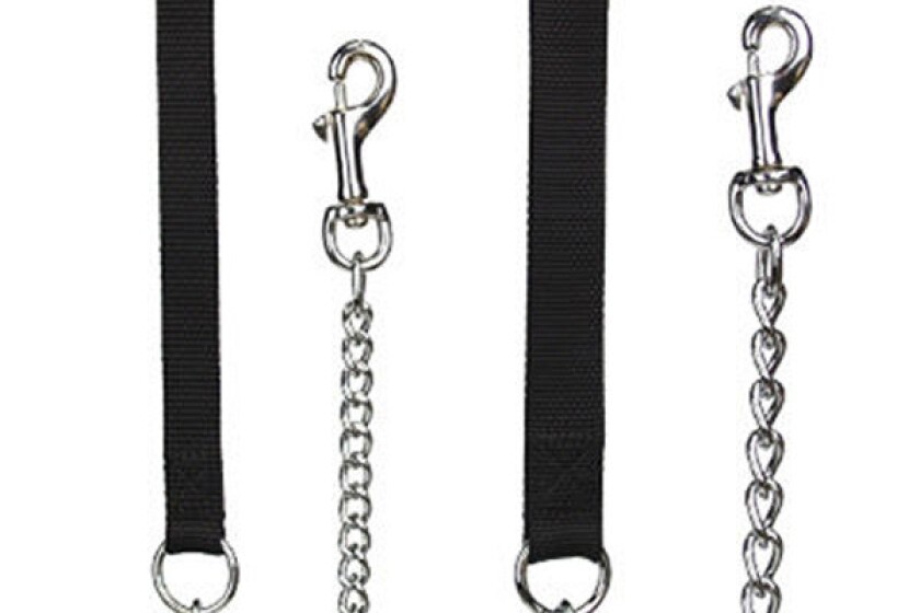 Top Paw Titan Chrome Dog Chain with Handle