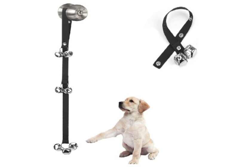Best Puppy Accessories