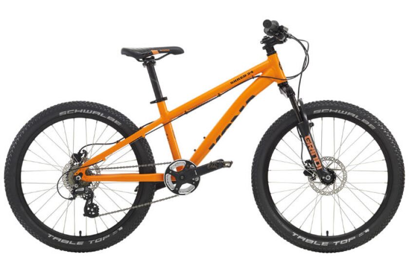 Kona Shred 24 Kids Mountain Bike