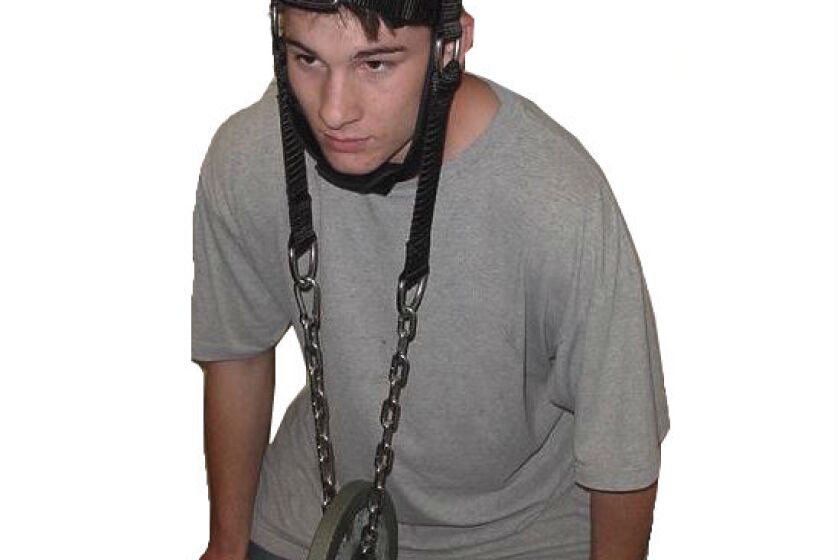 APT Super Deluxe Head Harness