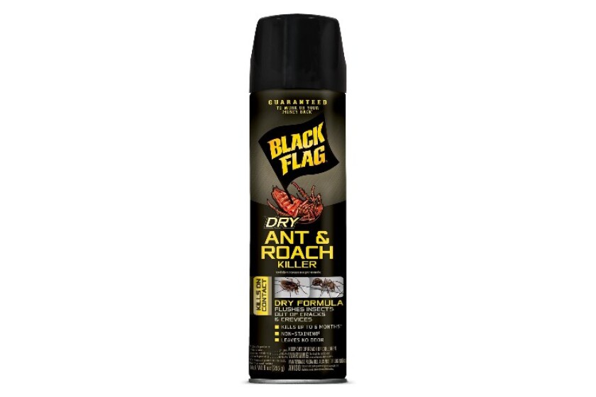 Best Cockroach Killer In 2021 Top Reviews By Bestcovery Best Cockroach Killer In 2021 Top Reviews By Bestcovery