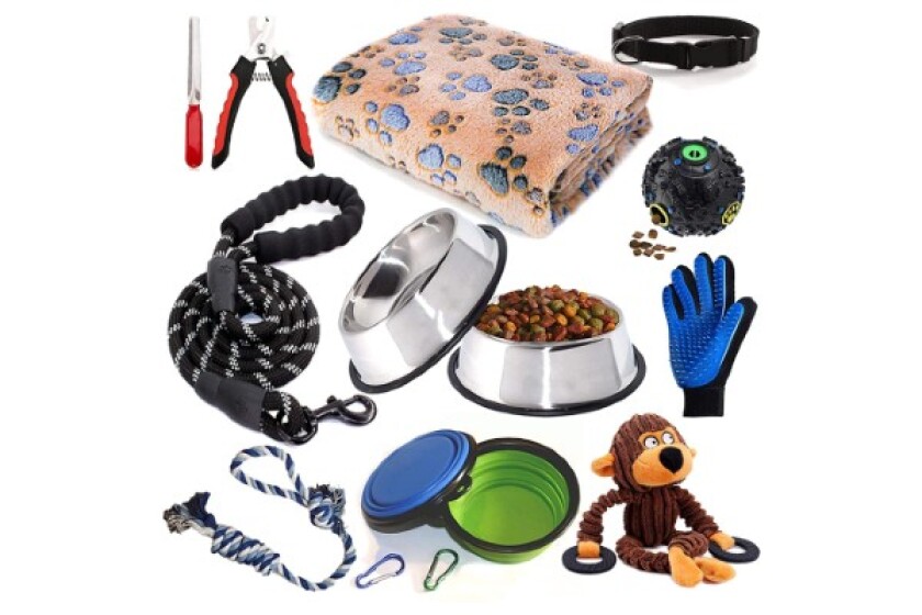 Best Puppy Accessories